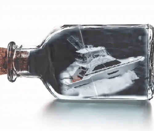 Sport Fish In A Bottle