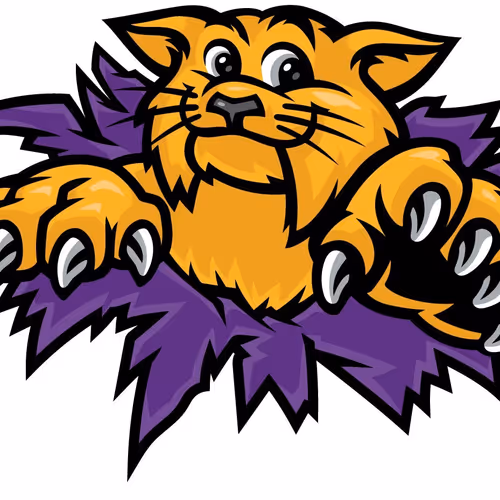 Sports Collection 22978