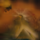 Spray art treasures - old