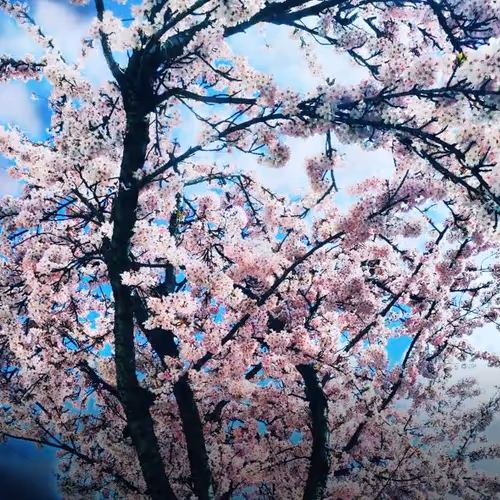 2021 End of Lockdown