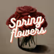 Spring Flowers (2023)