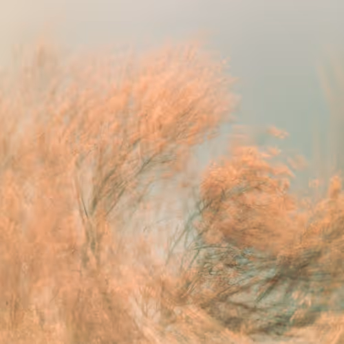 Spring Sea