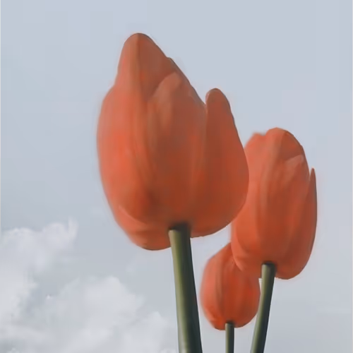 Spring your day - old