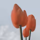 Spring your day - old