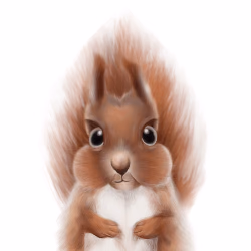 Squirell collection