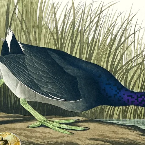 Stacking sats by the river