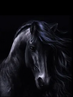 Stallion World