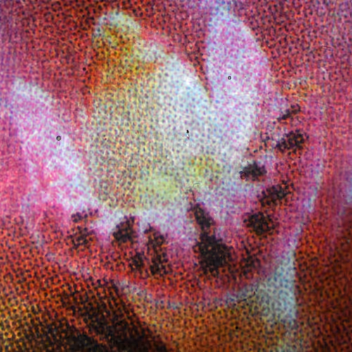 Stamps at Stereoscopic microscope