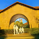 Stanford University scenerey