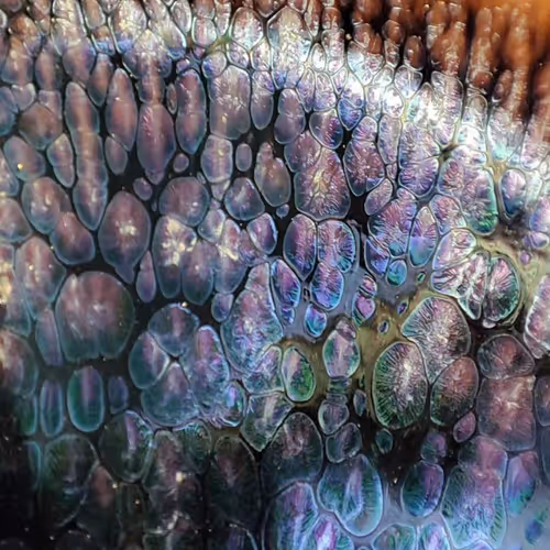 rainworm's colletion