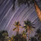 Star Trail photos using my mobile