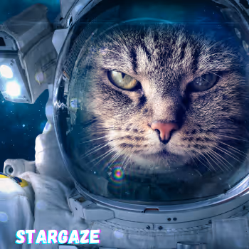 Stargazers