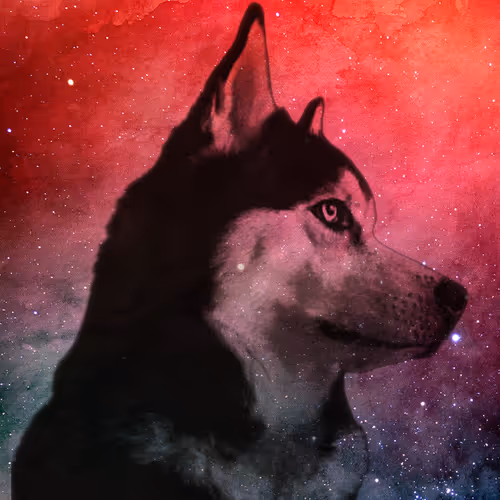 Starlight Animals