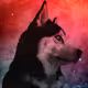 Starlight Animals