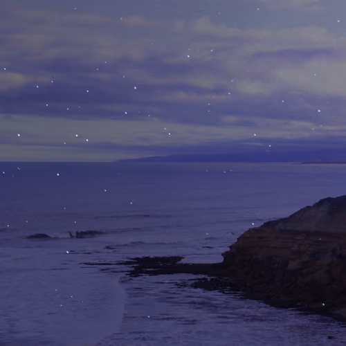 starry seas