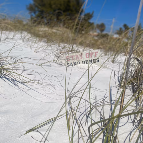 Stay Off The Dunes