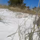 Stay Off The Dunes