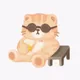 stay with cats - old