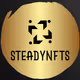 SteadyNFTs Snapshots - Elon & Doge