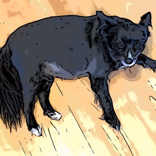 steampunk and puppies