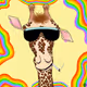 Steve the Giraffe