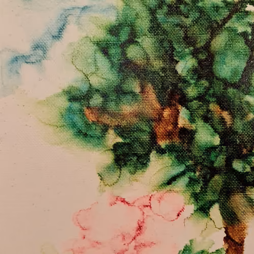 Still canvas images
