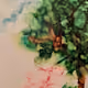 Still canvas images