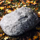 stone. - old V2
