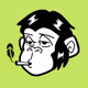 STONED APE HOOD