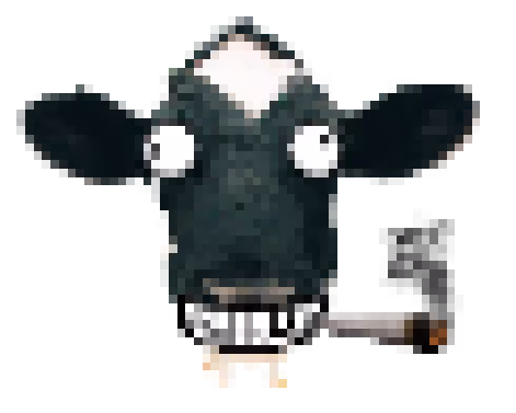 Stoned cow