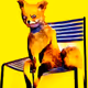 StonedFox AI Reincarnation