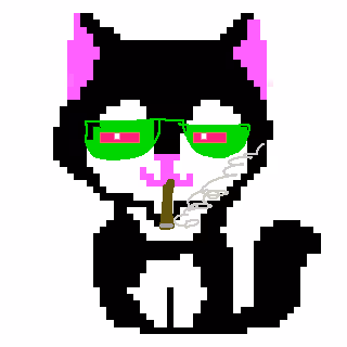 stoner kitty