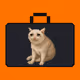 StonkBrokerCashCat