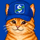 STONKCATS
