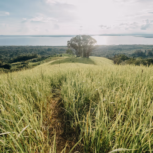 Story of Dayak Tribe