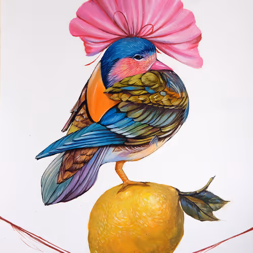 Story of bird.