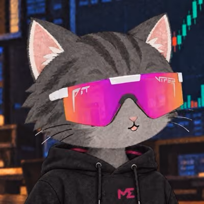 Stotonk Cat