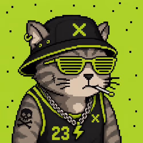 STOTONKCATS