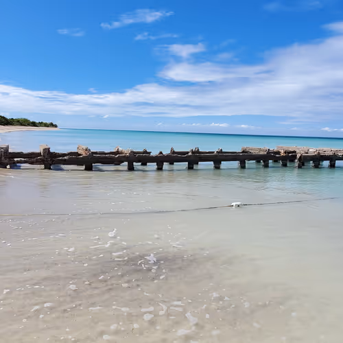 Puerto Rican Paradise