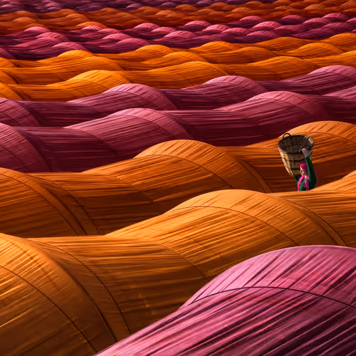 strawberry greenhouse - old V2