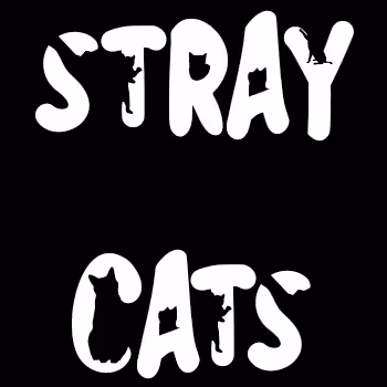 Stray_Cats