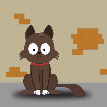 Street Cat Meow