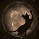 Stretching for the moon - old