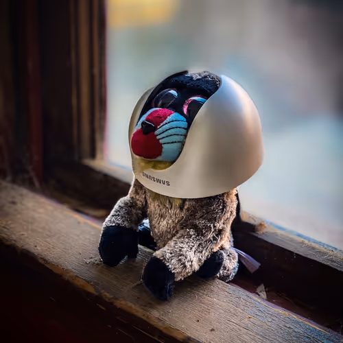 Strummer The Space Monkey