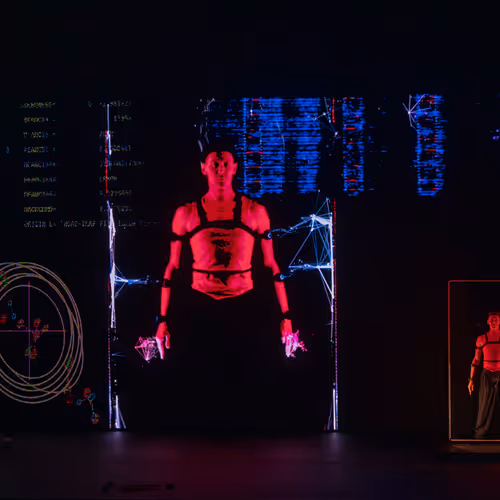 Stuart Wilson Photography