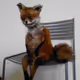 Stubborn fox - old