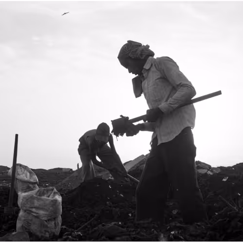 Lives stuck to magnets