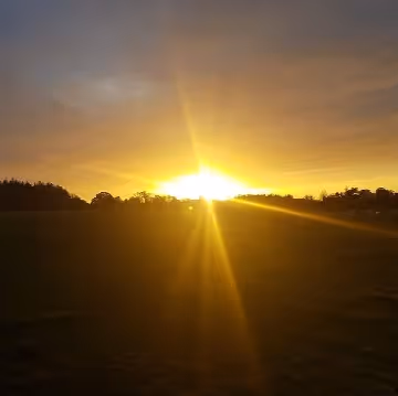 Studio420 Dreams and Visions Collection