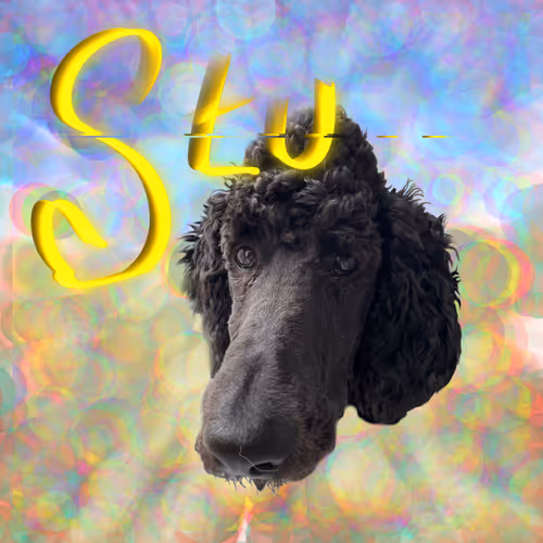 StuThePood