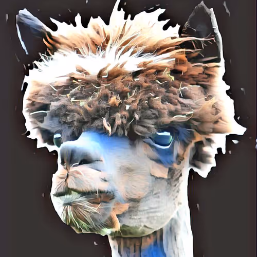 Stylish Alpaca